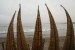 Huanchaco 226.jpg