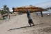 Huanchaco 250.jpg