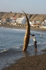 Huanchaco 358.jpg