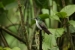 20120414-IMG_5357
