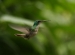 20120415-IMG_6808
