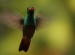 20120415-IMG_6909