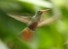 20120415-IMG_7651