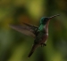 20120415-IMG_7803