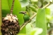 20120415-IMG_7863