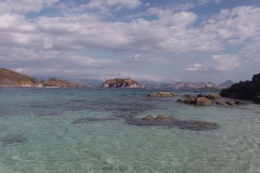 Komodo and Rinca underwater photos and videos_20150716_9615