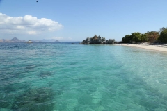 Komodo and Rinca_20150716_9703