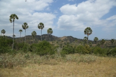 Lubuan Bajo, Rinca and Komodo_20150715_9318