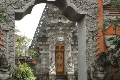 Rice fields Ubud_20150726_1102