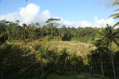 UBUD 4_20150728_1595