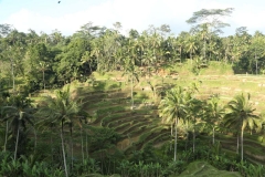 UBUD 4_20150728_1603