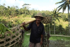 UBUD 4_20150728_1627