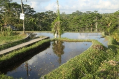 UBUD 4_20150728_1631