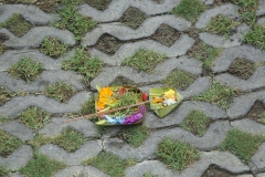 UBUD_20150725_1152