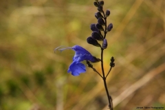 20120712-IMG_1189