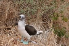 20120716-IMG_2041