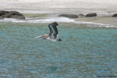 20120717-IMG_2304