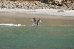 20120717-IMG_2319