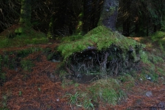 Skye with Otto 107.jpg
