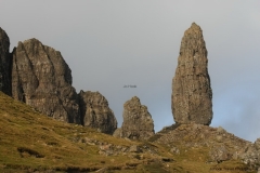 Skye with Otto 201.jpg
