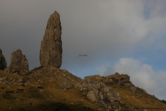 Skye with Otto 206.jpg