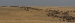 Jo 077a.jpg