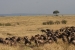 masai mara 3 121.jpg