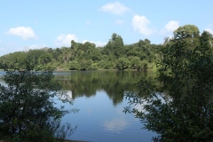 02jan2015_kerala-3_0258