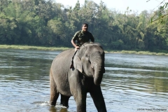 03jan2015_kerala-3_0177