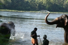 03jan2015_kerala-3_0210
