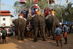 festival-elephant-103