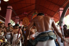 festival-elephant-18
