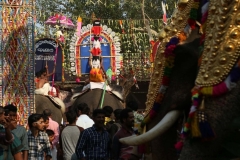 festival-elephnat-102