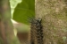 20120721-IMG_2542