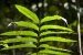 20120721-IMG_2544