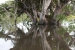 20120721-IMG_2589
