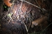 20120722-IMG_2602
