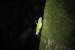20120722-IMG_2618