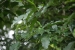 20120722-IMG_2833a