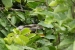 20120722-IMG_3016