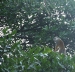 20120723-IMG_3081a