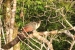 20120723-IMG_3120a