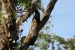 20120723-IMG_3155