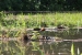 20120723-IMG_3207
