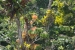 20120723-IMG_3211