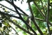 20120723-IMG_3240a
