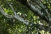20120723-IMG_3274