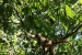 20120723-IMG_3304