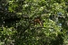 20120723-IMG_3311