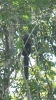 20120723-IMG_3334a